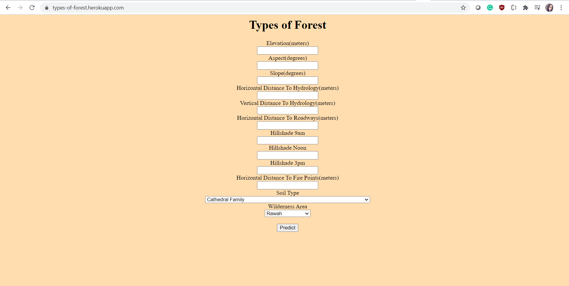 Types-of-Forest